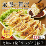 奇跡の一粒「すっぴん」餃子300個